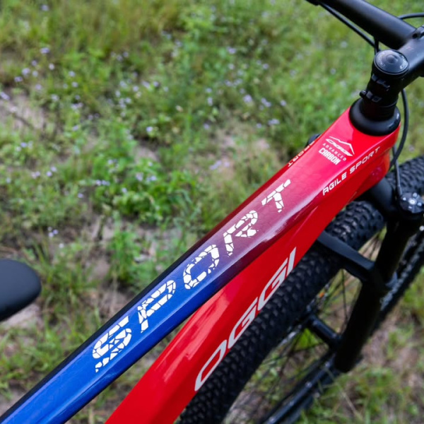 Edição 65 - AGILE SPORT + 3MIL